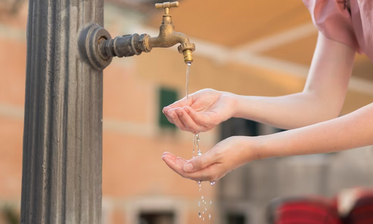 The Hidden Dangers in Your Tap Water: How a Water Purifier Can Help